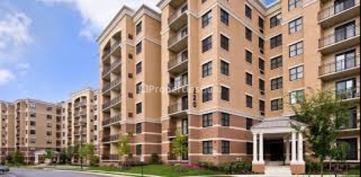 3 BHK Apartment / Flat for Rent in Race Course Road, Dehradun