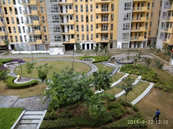 2 BHK Apartment / Flat for Rent in Sector 67, Gurgaon