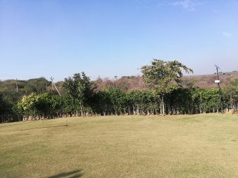 Residential Plot for Sale in Sector 62, Gurgaon