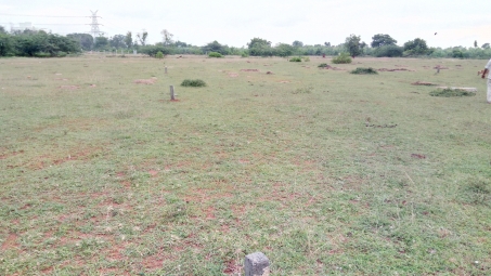 Residential Plot for Sale in Potheri, Chennai