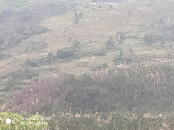 Agriculture Land for Sale in Kodaikanal Hill Station, Kodaikanal