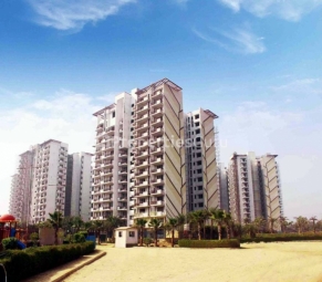 property-img