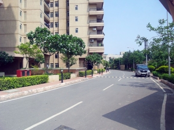 3 BHK Apartment / Flat for Rent in Sector 48, Gurgaon