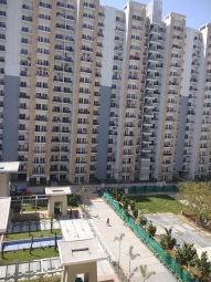 3 BHK Apartment / Flat for Sale in Sector 75, Noida