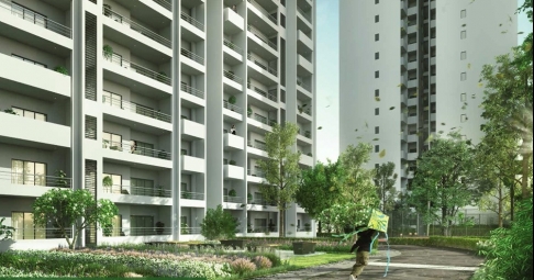 3 BHK Apartment / Flat for Sale in Sector 85, Gurgaon