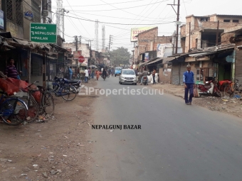 Residential Plot for Sale in Nepalgange-Julpia Road, Kolkata