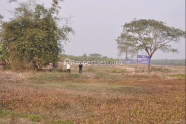 Residential Plot for Sale in Baruipur, Kolkata