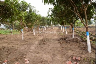 Residential Plot for Sale in Barrackpore, Kolkata