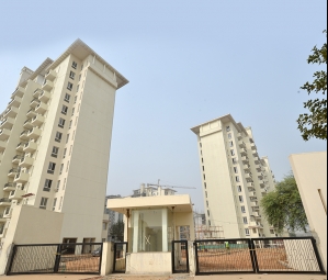 3 BHK Apartment / Flat for Sale in Sector 65, Gurgaon