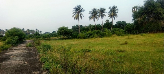 Residential Plot for Sale in Guduvancheri, Chennai