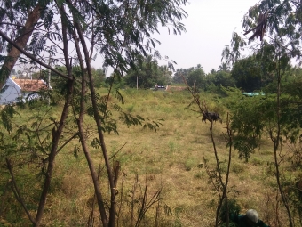 Residential Plot for Sale in Avinashi, Tirupur