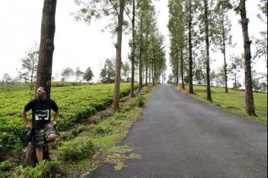 Residential Plot for Sale in Bengalmattam, Ooty