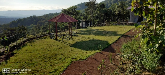 Agriculture Land for Sale in Pali, Raigad