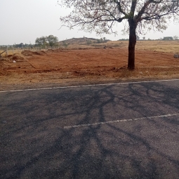 Commercial Plot for Sale in Puliampatti, Erode