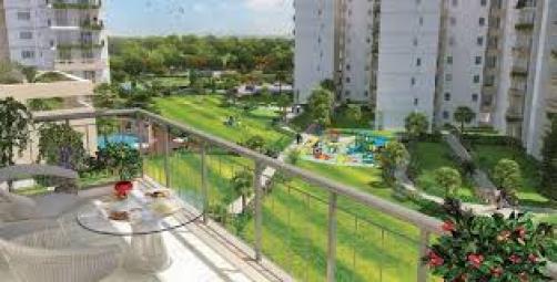 3 BHK Apartment / Flat for Sale in Sector 107, Gurgaon