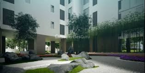 3 BHK Apartment / Flat for Sale in Sector 59, Gurgaon