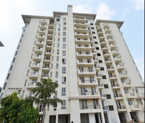 2 BHK Apartment / Flat for Sale in Sector 65, Gurgaon