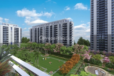 3 BHK Apartment / Flat for Sale in Sector 81, Gurgaon