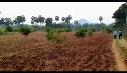 Agriculture Land for Sale in Dakamarri, Visakhapatnam