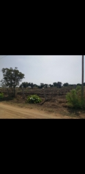 Agriculture Land for Sale in Chevella, Hyderabad
