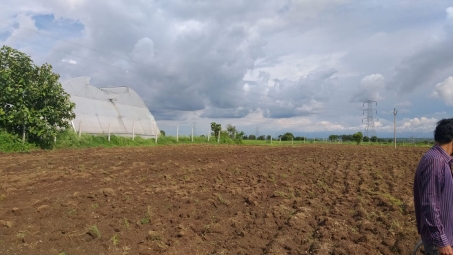 Agriculture Land for Sale in Chevella, Hyderabad