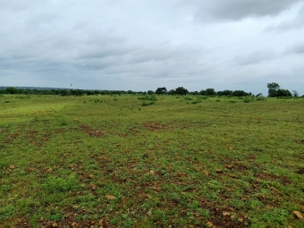Agriculture Land for Sale in Sangareddy District, Hyderabad