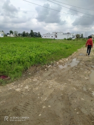 Residential Plot for Sale in Badowala, Dehradun