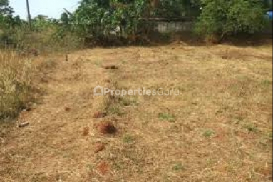 Commercial Plot for Sale in Dalanwala, Dehradun