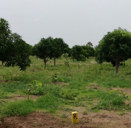 Residential Plot for Sale in Yadagirigutta, Hyderabad