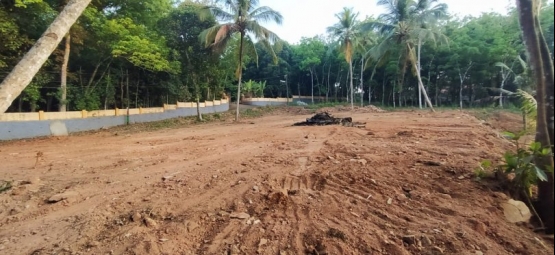 Residential Plot for Sale in Edappally, Ernakulam