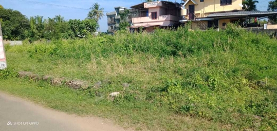 Residential Plot for Sale in Punkunnam, Thrissur