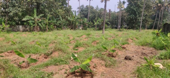 Residential Plot for Sale in Chalakudy, Thrissur