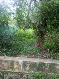Residential Plot for Sale in Piravom, Ernakulam