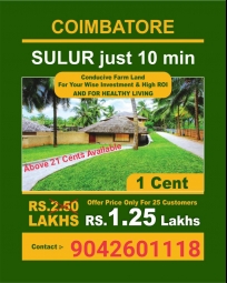 Agriculture Land for Sale in Sulur, Coimbatore