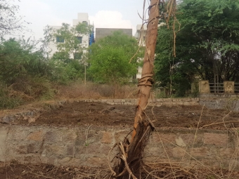 Residential Plot for Sale in Attapur, Hyderabad