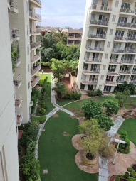 3 BHK Apartment / Flat for Sale in Sector 19, Faridabad