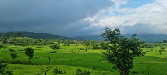Agriculture Land for Sale in Trimbakeshwar, Nashik